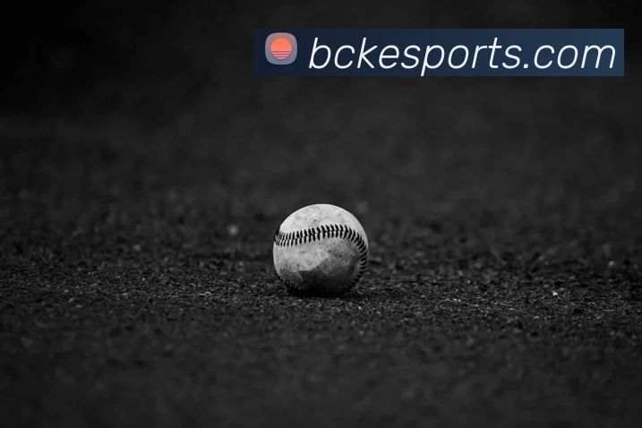 体育下注品牌故事