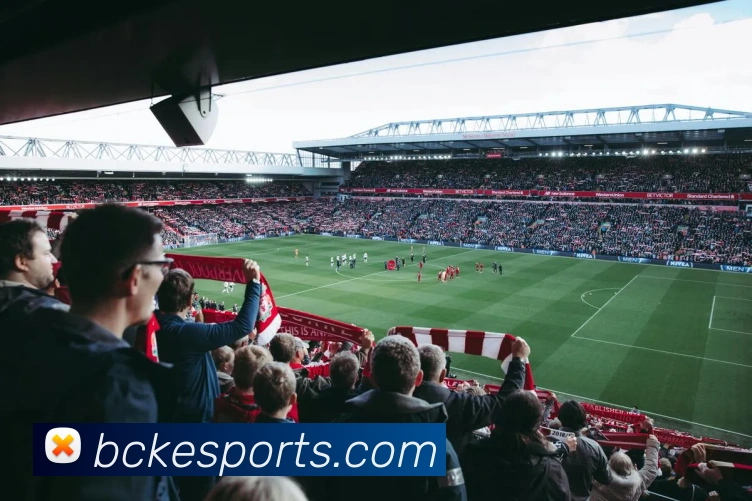 体育下注服务体系